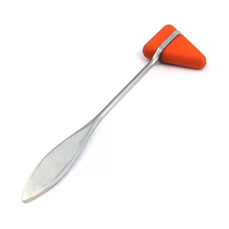 Martillo de percusión Riester Taylor — equipo médico en Lima, Perú | Webley